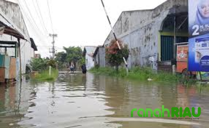 Dukung Mitigasi Bencana, Sekdako Pekanbaru : Camat dan Lurah harus Proaktif dalam Laporan